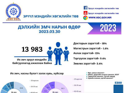 СТАТИСТИК: Манай улсын эрүүл мэндийн байгууллагад 13,983 их эмч ажиллаж байна