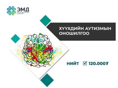 Хүүхдийн аутизмын оношилгоог ЭМД-ын сангаас бүрэн хариуцна
