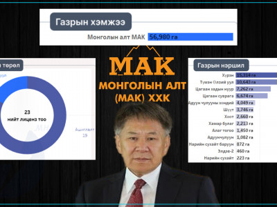 Монголросцветмет компани хамгийн олон буюу 26 лиценз, МАК хамгийн том буюу 56 980 га талбайд лиценз эзэмшдэг
