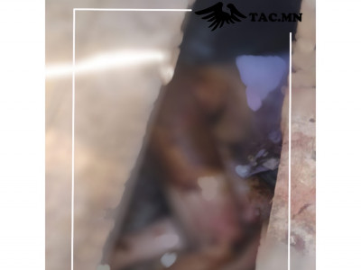 Сэрэмжлүүлэг: Бага насны хүүхдийг хүчирхийлээд, хөнөөсөн этгээдийг эрэн сурвалжилж байн