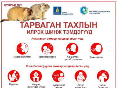 Говь-Алтай аймагт тарваган тахлын батлагдсан тохиолдол бүртгэгдлээ