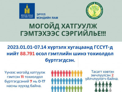 Он гарсаар могойд хатгуулсан 11 хүн ГССҮТ-д хандаж, тусламж үйлчилгээ авчээ