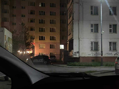 Хүн хутгалаад зугтсан этгээдийг баривчлахдаа резинэн сумтай буугаар бууджээ