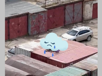 Хүүхдүүдийг олж тогтоон, хүүхэд хамгааллын хариу арга хэмжээ авч байна