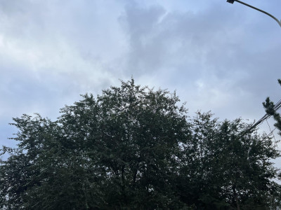 Улаанбаатарт бага зэргийн бороо орно