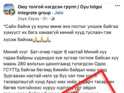 Гадаад хүүхдийн зураг ашиглан тусламж гуйж, иргэдийг залилах гэмт хэргийн шинжтэй үйлдэл гарч байна