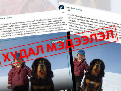Худал мэдээлэл: 4 настай хүүхэд төөрч алга болоход Монгол банхар нохой аминд нь орж аварсан