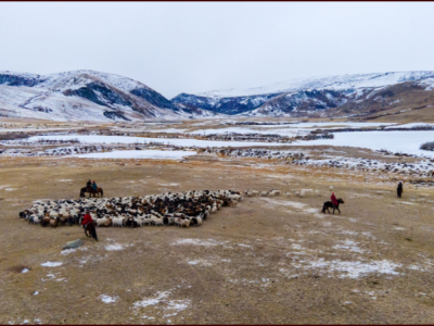 Б.Жавхлан: Малчдын НДШ-ийн 50 хувийг төрөөс төлөх зардлыг ирэх оны төсөвт тусгасан