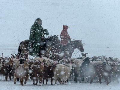 Нутгийн зарим хэсгээр цасан шуурга шуурна