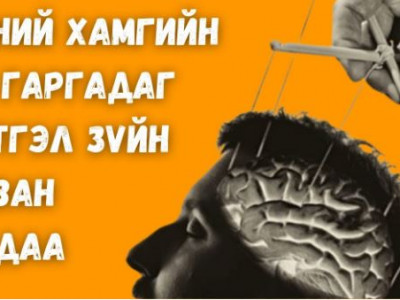 Өдөр тутамдаа хамгийн их гаргадаг сэтгэл зүйн таван алдаа