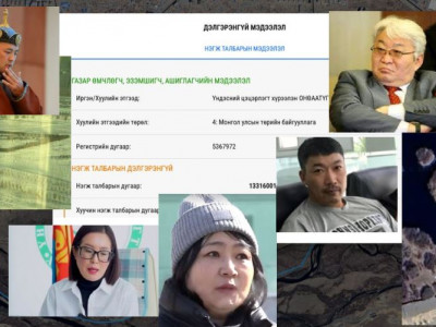 Буруу тогтолцоо: Хууль зөрчиж баригдсан хаус, шунал хороолол, аваргын хашаа гээд газрын дуулиан эхэллээ