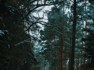 Улаанбаатарт 10 хэм хүйтэн байна