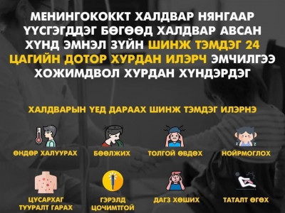 Менингококкт халдварын тохиолдол илэрсэн тул Налайх дүүргийн зарим сургууль, цэцэрлэгийн үйл ажиллагааг цахим хэлбэрт шилжүүллээ