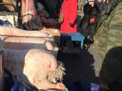 Ахмадууд: Тэтгэврийн мөнгөөрөө ганц ууц ч авч хүрэхгүй байна