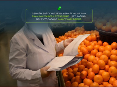 Төрийн байгууллагын нэрийг ашиглаж, залилан хийсэн этгээдийг цагдаагийн байгууллагаар шалгуулж байна