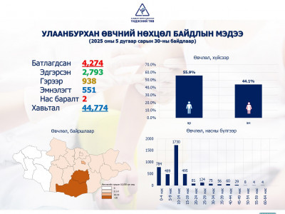 Улаанбурханы халдвар авсан хүүхэд нас баржээ