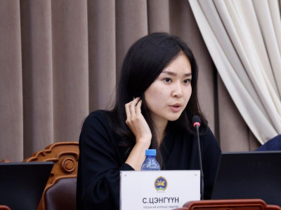 С.Цэнгүүн: Эрчим хүчний тухай хуульд өөрчлөлт оруулах төсөл нь сайдынхаа эрх мэдлийг нэмэгдүүлэх гэсэн хардлагыг төрүүлж байна