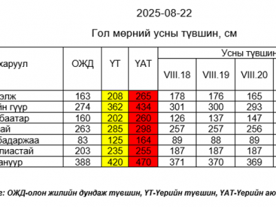 Туул гол олон жилийн дундаж түвшнийг 15-45 см даван үерлэж байна