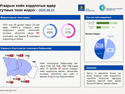 Угаарын хийн хордлогын улмаас гурван иргэн нас барсныг НЭМҮТ мэдээлэв