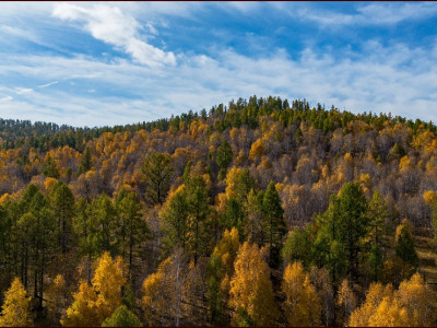 Самарт явсан эмэгтэй сураггүй алга болоод хоёр хонож байна