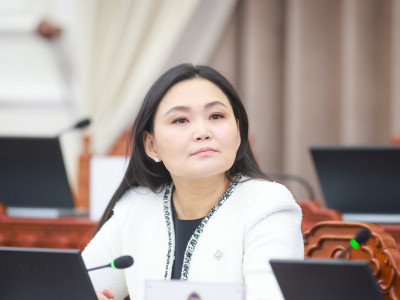 Ч.Номин: Төсвийн орлогын 20 хувьтай тэнцэх мөнгийг аялал жуулчлалын салбар ганцхан жилд олсон, энэ бол “Go Mongolia”-гийн үр дүн