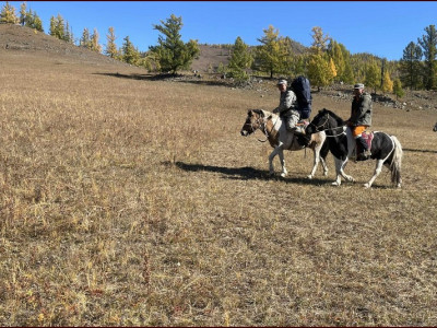 ОБЕГ: Хөвсгөл аймагт сураггүй болсон 46 настай эмэгтэйг эрэн хайх ажиллагааг ар гэрийнх нь хүсэлтээр зогсоолоо