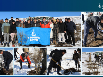 Төрийн банкны хамт олон Таширын аманд мод тарилаа