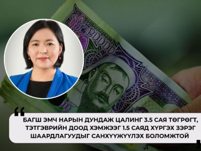 Н.Туяа: Бодлогын шинэчлэл хийж чадвал багш, эмч нарын цалинг 5-10 саяд хүргэх боломжтой