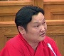Сонгуулийн тойрог, мандат хуваарилалтын талаар хэн, юу хэлэв
