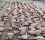 УИХ-ын чуулган эхлэхээр нүүрсэн янданг гадагшаа гаргахыг хориглох жагсаалтад оруулах асуудлыг шийднэ 
