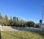 Улаанбаатарт бороо орохгүй