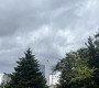 Улаанбаатарт цас орохгүй, 9 хэмийн дулаан байна