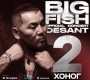 Desant 