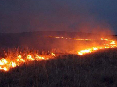Хэнтий аймгийн Баян-Овоо суманд гарсан хээрийн түймрийг унтраахаар ажиллаж байна