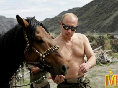 Путин Алтайд амарч байна