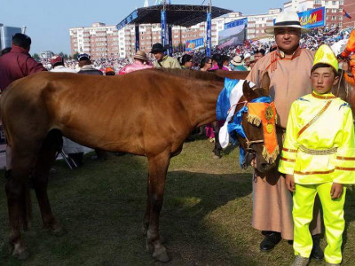 Монголын морин спорт залуу уяачдын холбоо байгуулагджээ