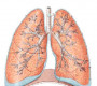  Уушгины хатгаа гэж юу вэ?