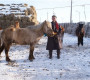 Монгол Улсын алдарт уяач Ц.Цэрэнбал: Хурдлах морины зоон дээрээс туяа цацардаг