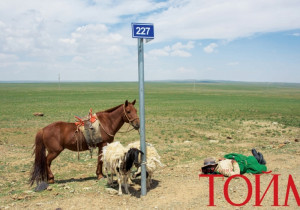  Малдаа дарлуулсан Монгол